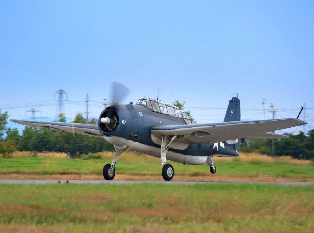 TBM Avenger torpedo bomber from the Erickson Aircraft Collection taking off with landing gear extended, propeller spinning, and grassy airfield with trees and power lines in the background